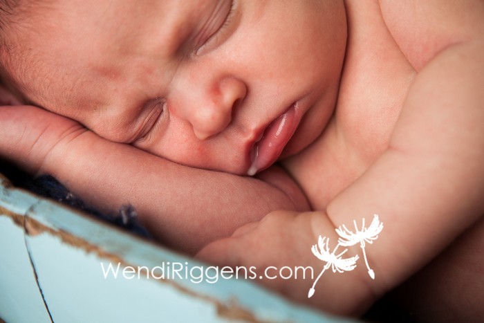 newborn-baby-boy-Carthage-IL-Wendi-Riggens-Photography-FB-48