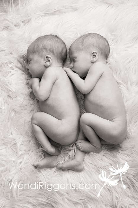 Twin Baby Boy and Girl 030
