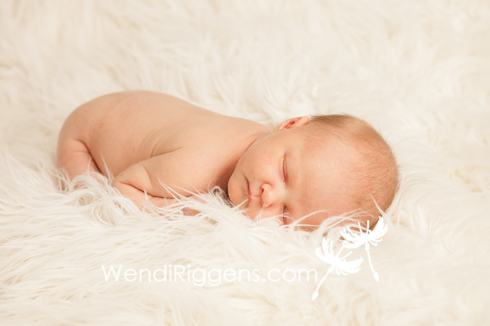 Beauitful newborn baby girl by Wendi Riggens Photography Burlington Iowa