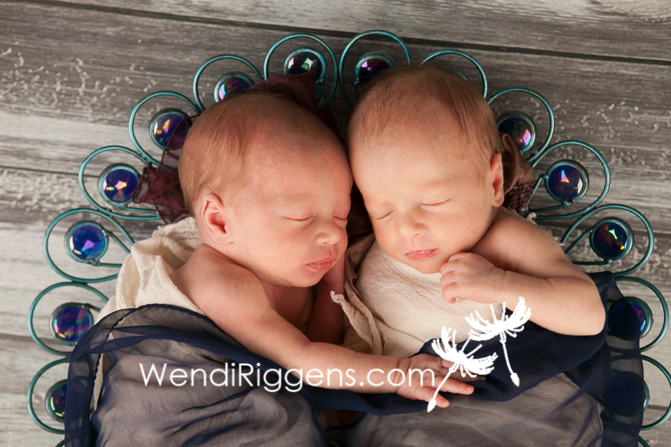 Twin Baby Girls