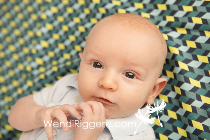 3 Month Old Baby Brother-FB-03