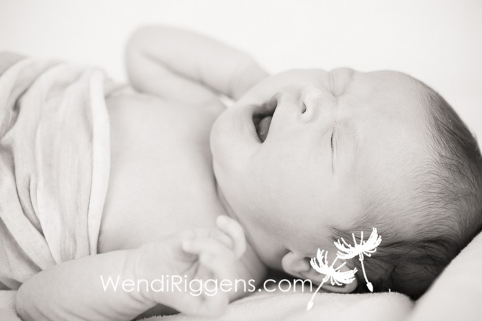 Newborn Baby Boy with Big Brother and Sister 03