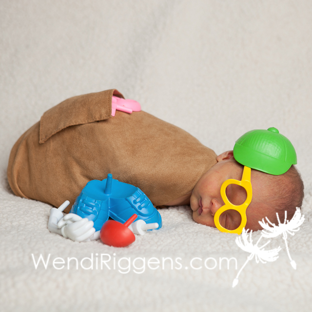 1 Mr Mrs Potato Head Ellie