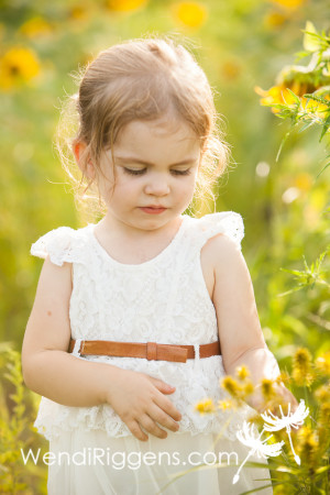 Claire Sunflowers-FB-09