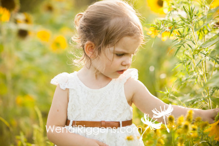 Claire Sunflowers-FB-10