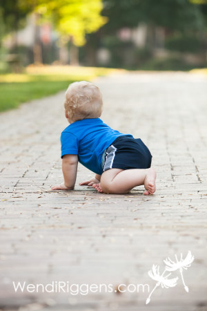 Handsome Baby Koda-FB-03