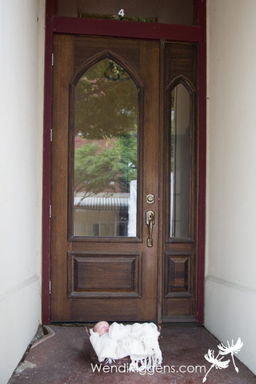 Harry Potter Newborn Session