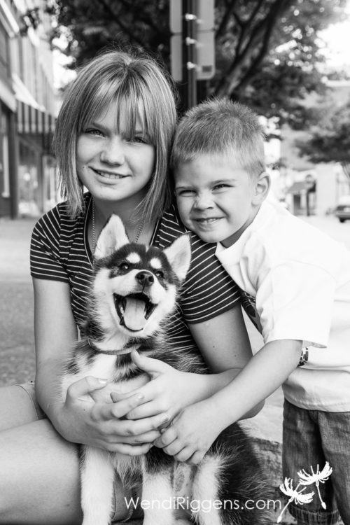 maya-husky-puppy-002