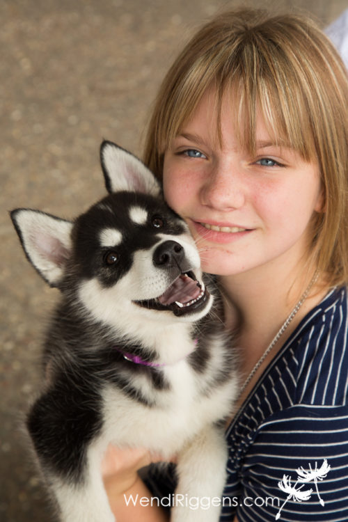 maya-husky-puppy-003