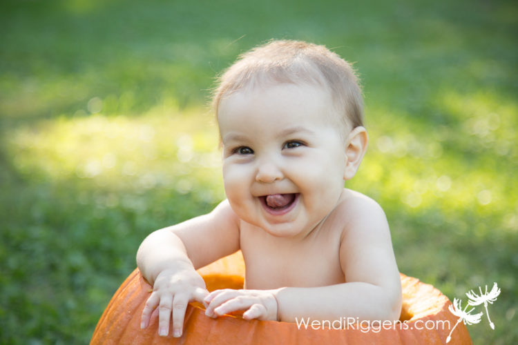pumpkins-and-babies-in-the-park-6